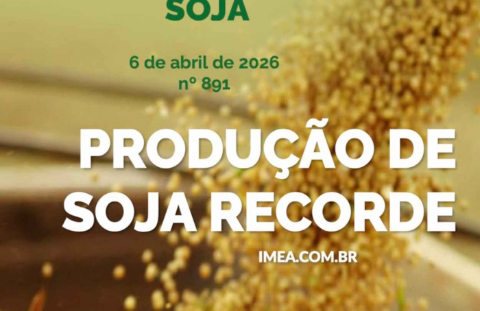 MT Safra 2025/26: Soja com produção recorde