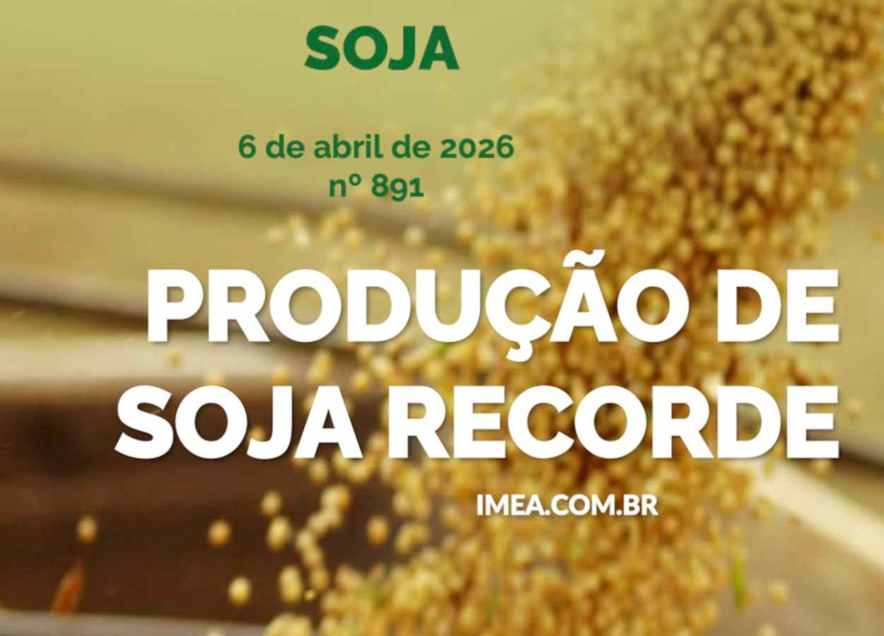 MT Safra 2025/26: Soja com produção recorde