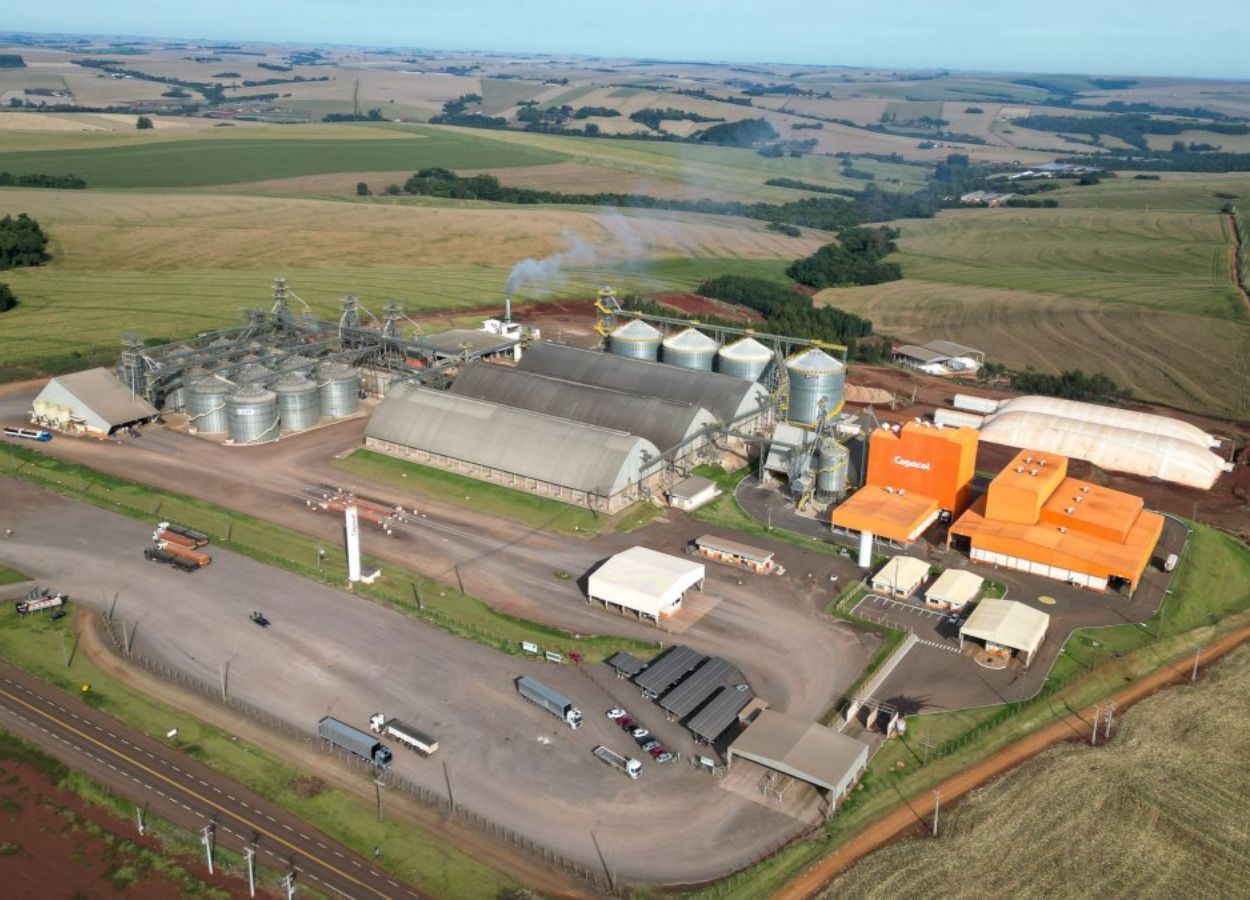 Cooperativa amplia capacidade de recebimento e moderniza estruturas no Paraná