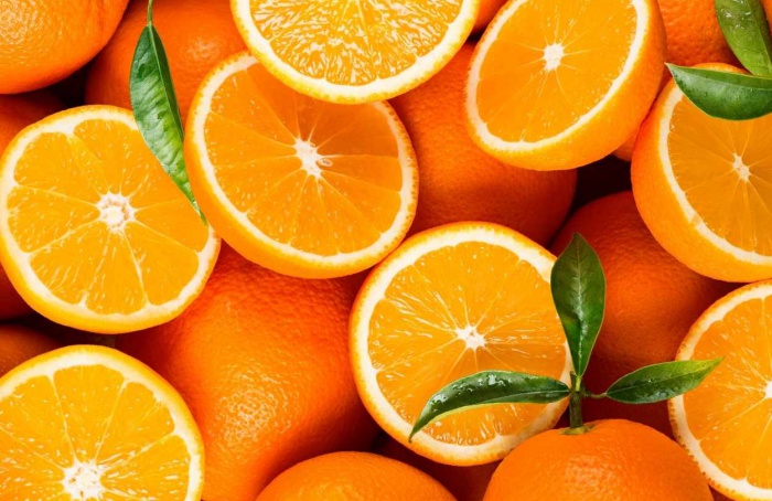 Egito e África do Sul lideram mercado global de laranja
