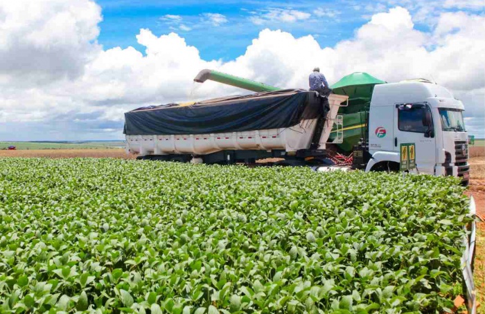 São Paulo anuncia pacote de R$ 340 mi para o agro paulista