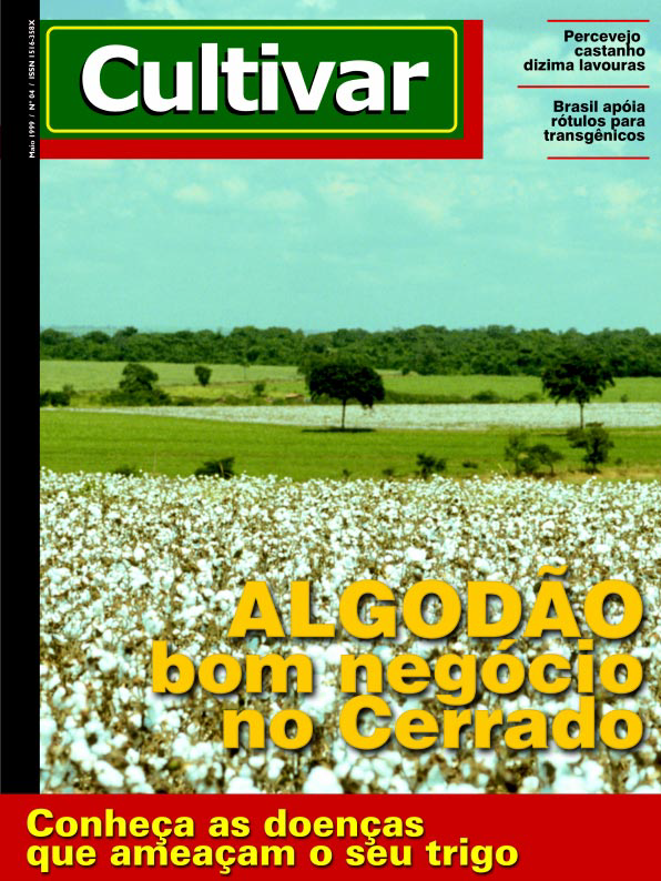 Algodão: bom negócio no cerrado