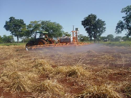 Calagem e gessagem de solos ácidos melhoram produtividade de grãos