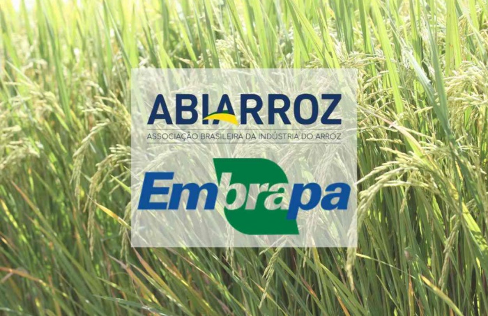 Abiarroz e Embrapa firmam convênio para impulsionar a rastreabilidade do arroz