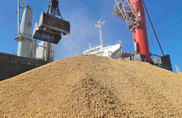 Exportações de arroz pelo porto do Rio Grande (RS) atingem a Europa e a América do Sul