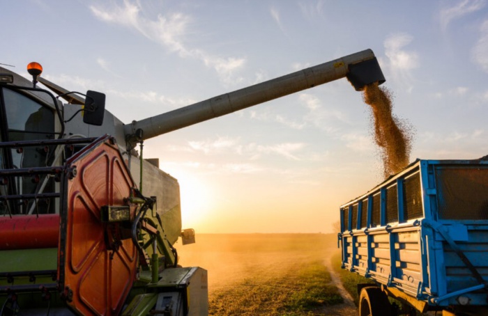 Goiás fecha 2024 com recordes no agronegócio