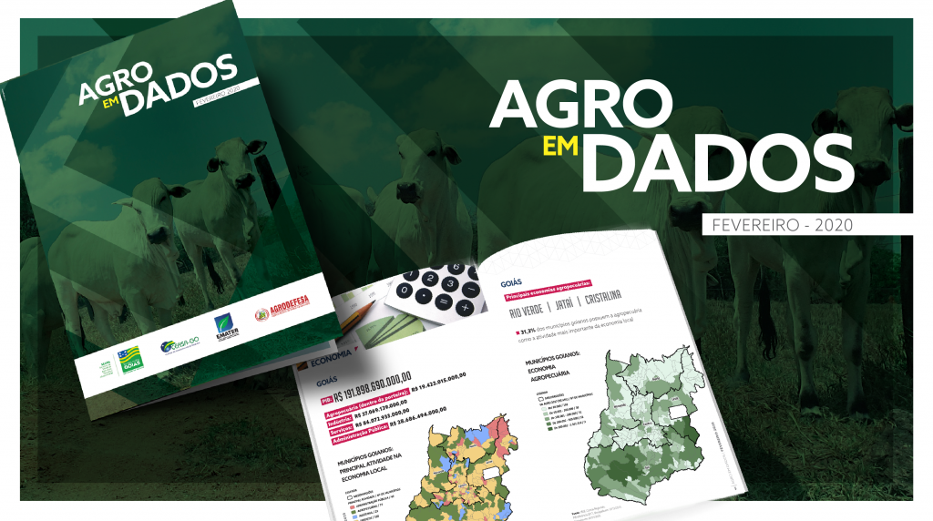 Boletim Agro em Dados destaca a safra de grãos e o peso nas exportações do agro em Goiás