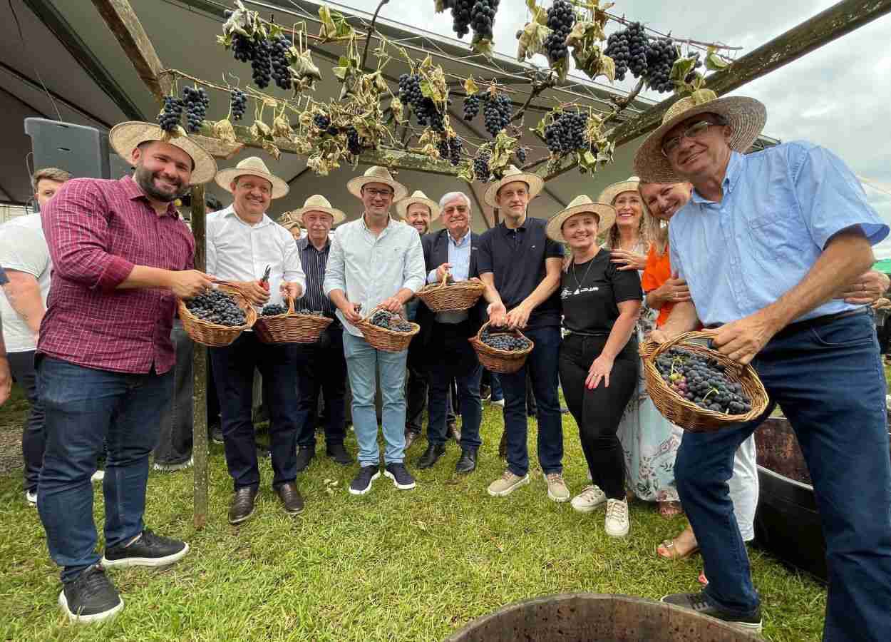 Safra de uva deve superar 957 mil toneladas no RS em 2026