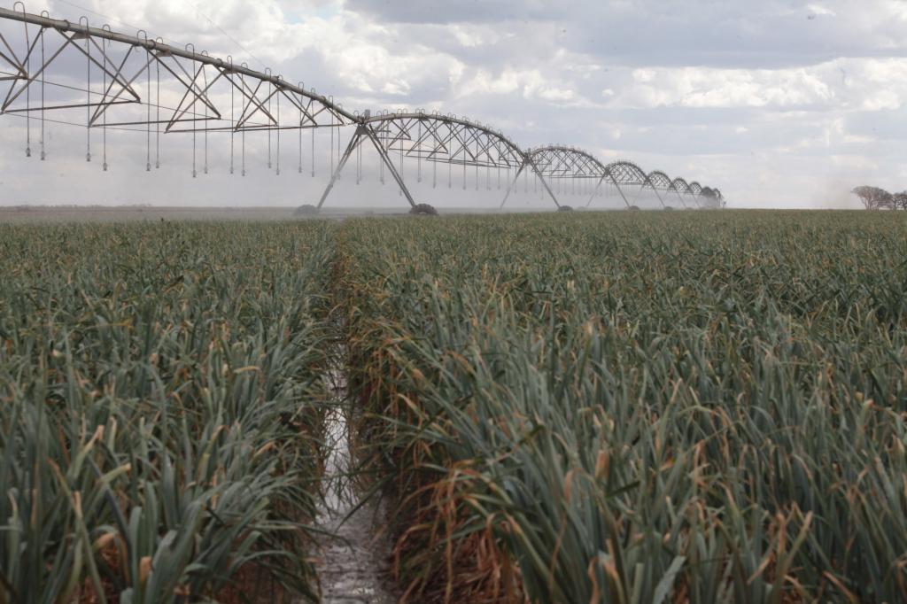 Produtores rurais buscam bioinsumos para reduzir custo da produção