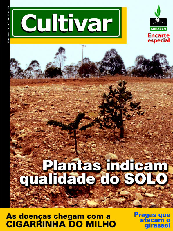 Plantas indicam a qualidade do solo