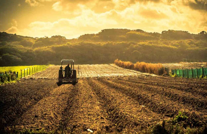 Santa Catarina bate recorde no Valor da Produção Agropecuária em 2023