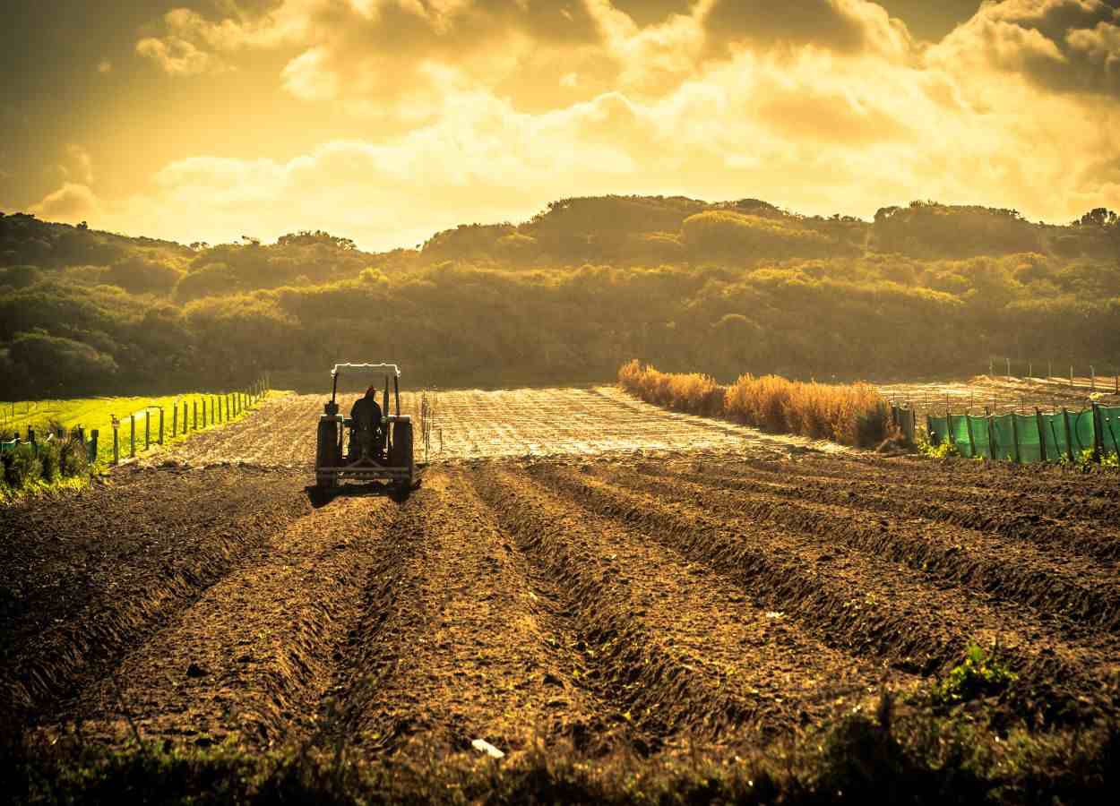 Santa Catarina bate recorde no Valor da Produção Agropecuária em 2023