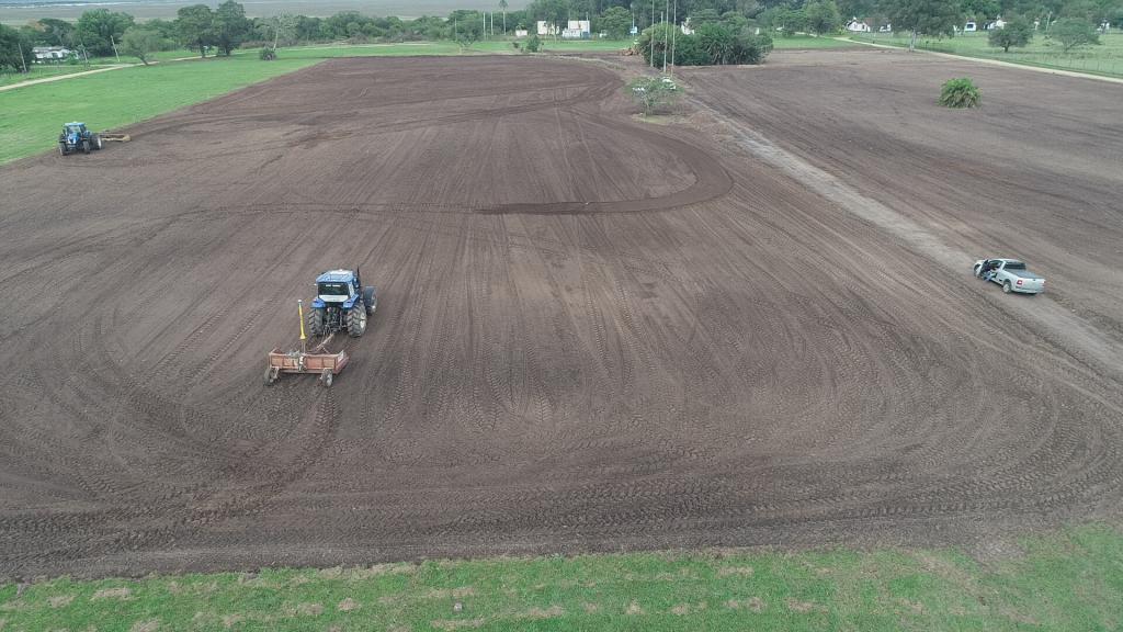 Abertura Oficial da Colheita do Arroz tem data e local definidos