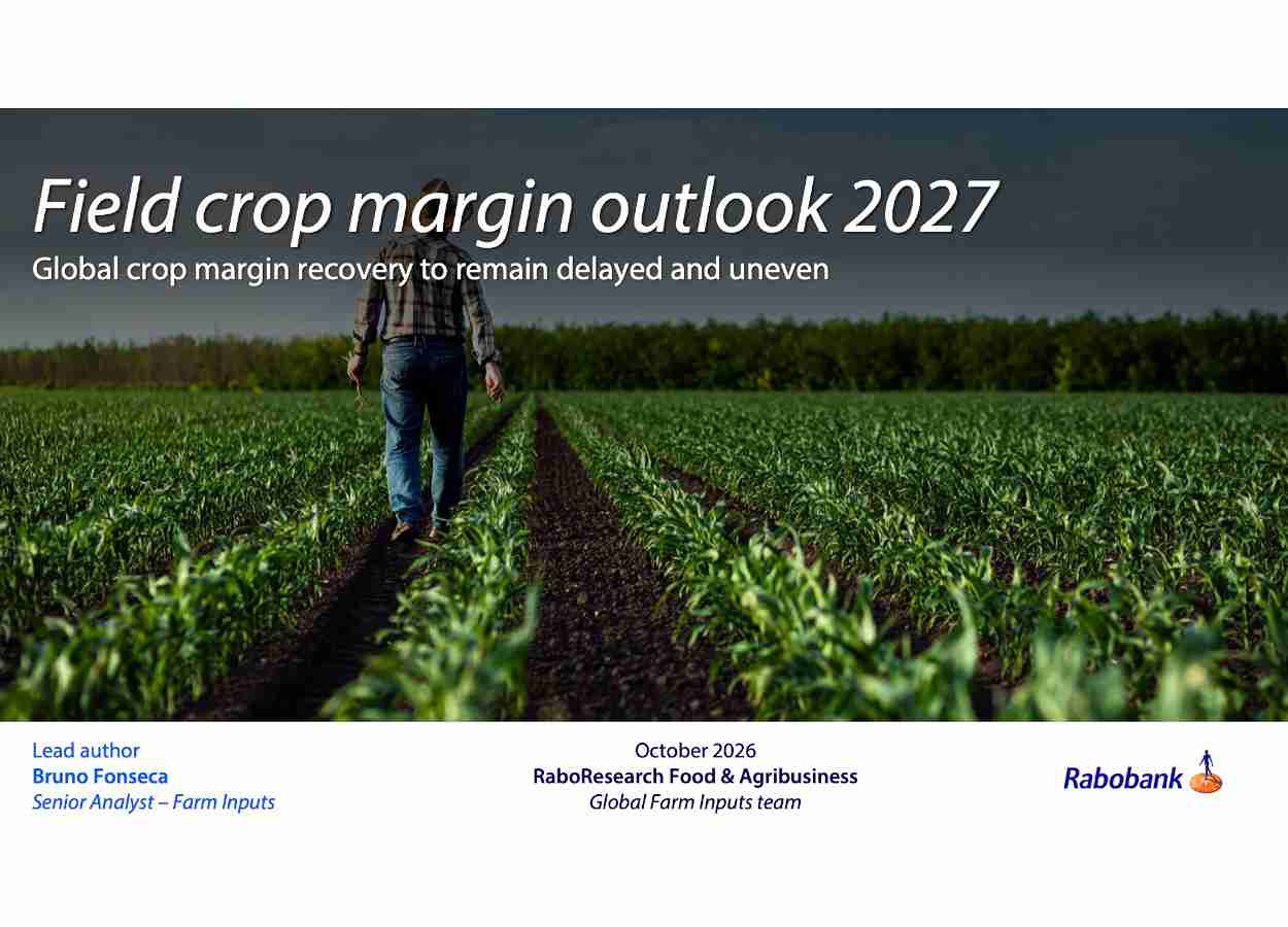 Projeção do Rabobank indica recuperação operacional, mas juros, dívidas e insumos pressionam produtores