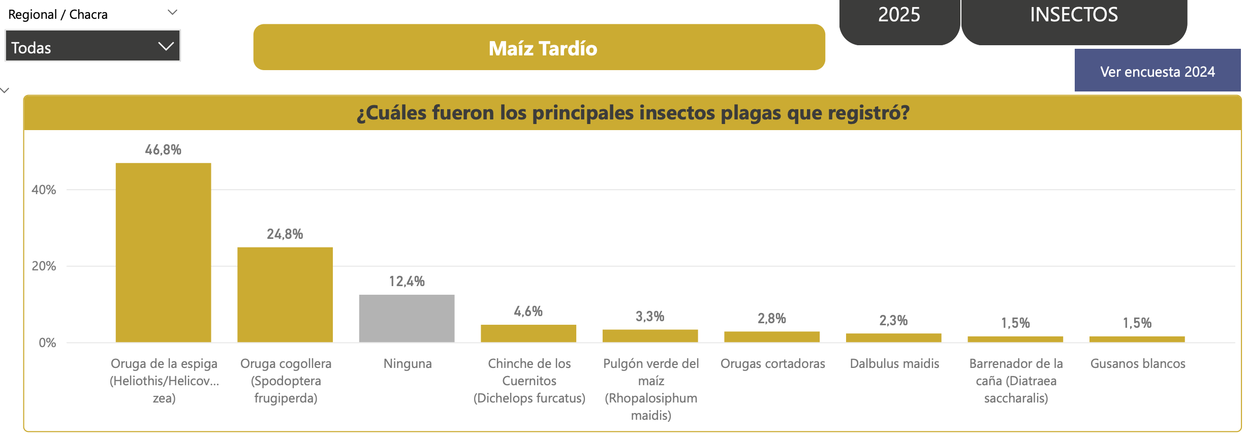El ma&iacute;z con biotecnolog&iacute;a enfrenta nuevos desaf&iacute;os por la presi&oacute;n de plagas y obliga a ajustar el manejo agron&oacute;mico