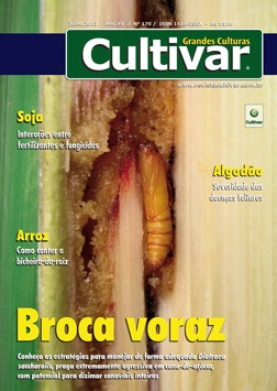 Broca voraz