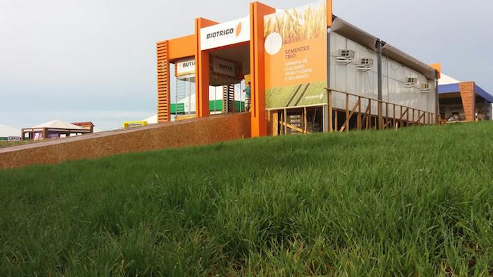 Biotrigo leva estação qualidade de trigo para o Show Rural