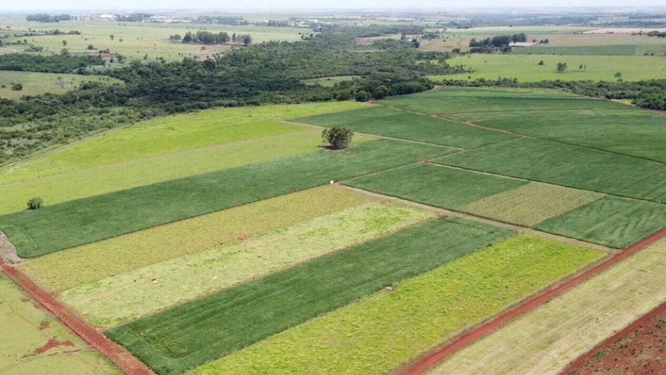 Vista do experimento de longa duração com diferentes sistemas de produção e níveis de manejo, em Dourados (MS); foto: Rafael Ferreira