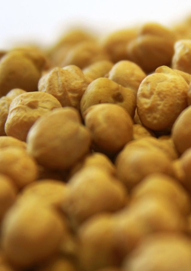 Cultivares de grão-de-bico com a marca Embrapa são exportadas para Ásia e América Latina