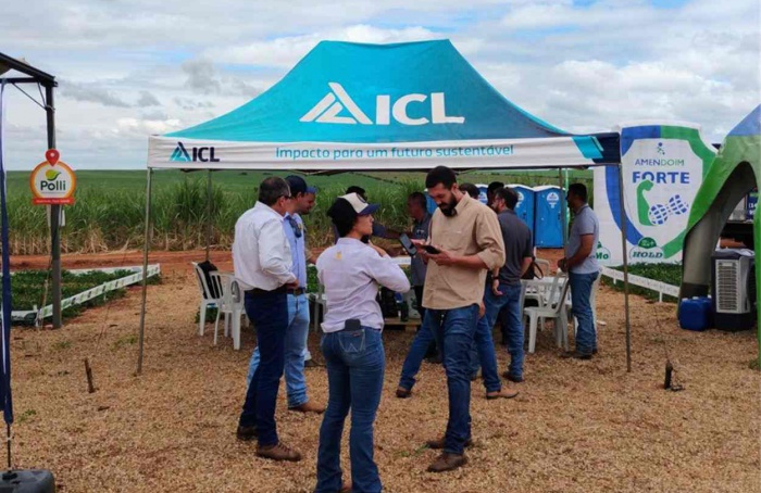 Nutrição e fisiologia do amendoim são tema de evento em SP