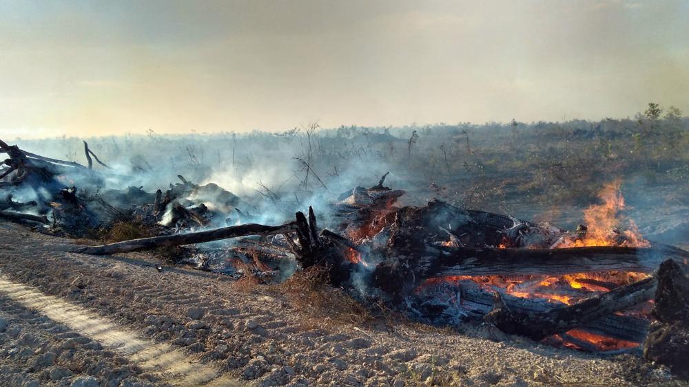 Naturatins notifica propriedades rurais que registraram queimadas nos meses mais secos