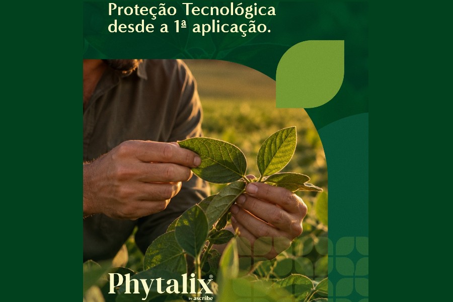 https://ascribebio.com/pt/?utm_source=revista-cultivar&amp;utm_medium=branded-content&amp;utm_campaign=institucional&amp;utm_id=institucional&amp;utm_term=agro&amp;utm_content=memo-artigo-mapa-aprova-phytalix-uma-nova-molecula-de-protecao-de-cultivos-que-ativa-a-imunidade-vegetal