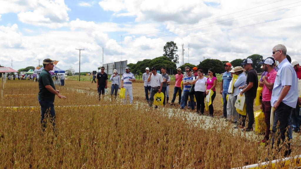 Dia de Campo Competição de Cultivares supera expectativas da organização