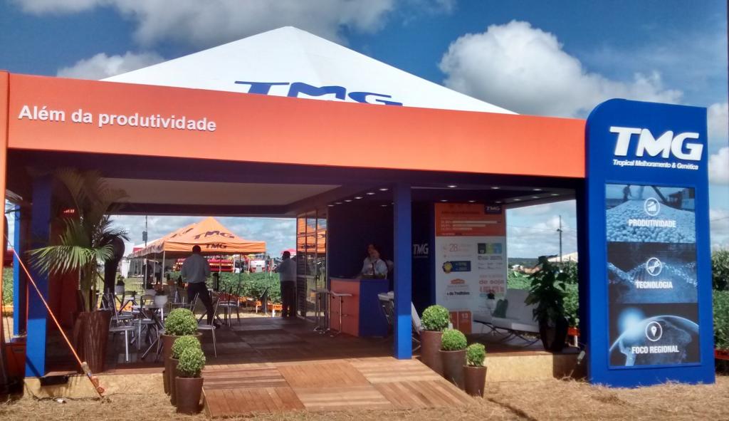 Lançamentos de soja e algodão são destaques no estande da TMG na Show Safra 163