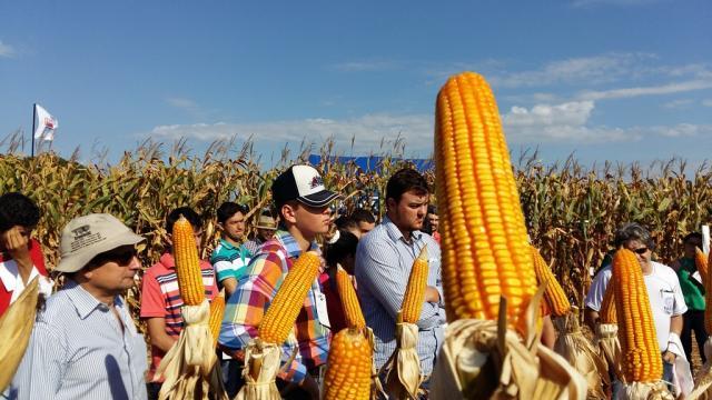 Produtores têm acesso a tecnologias para fortalecer a safrinha em Rondônia