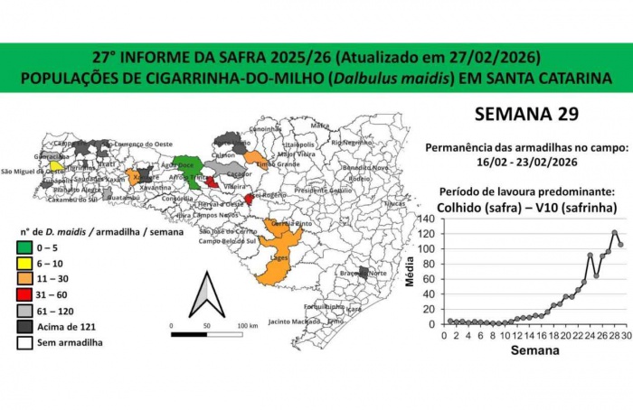 Média de 120 cigarrinhas por armadilha encontradas em Santa Catarina