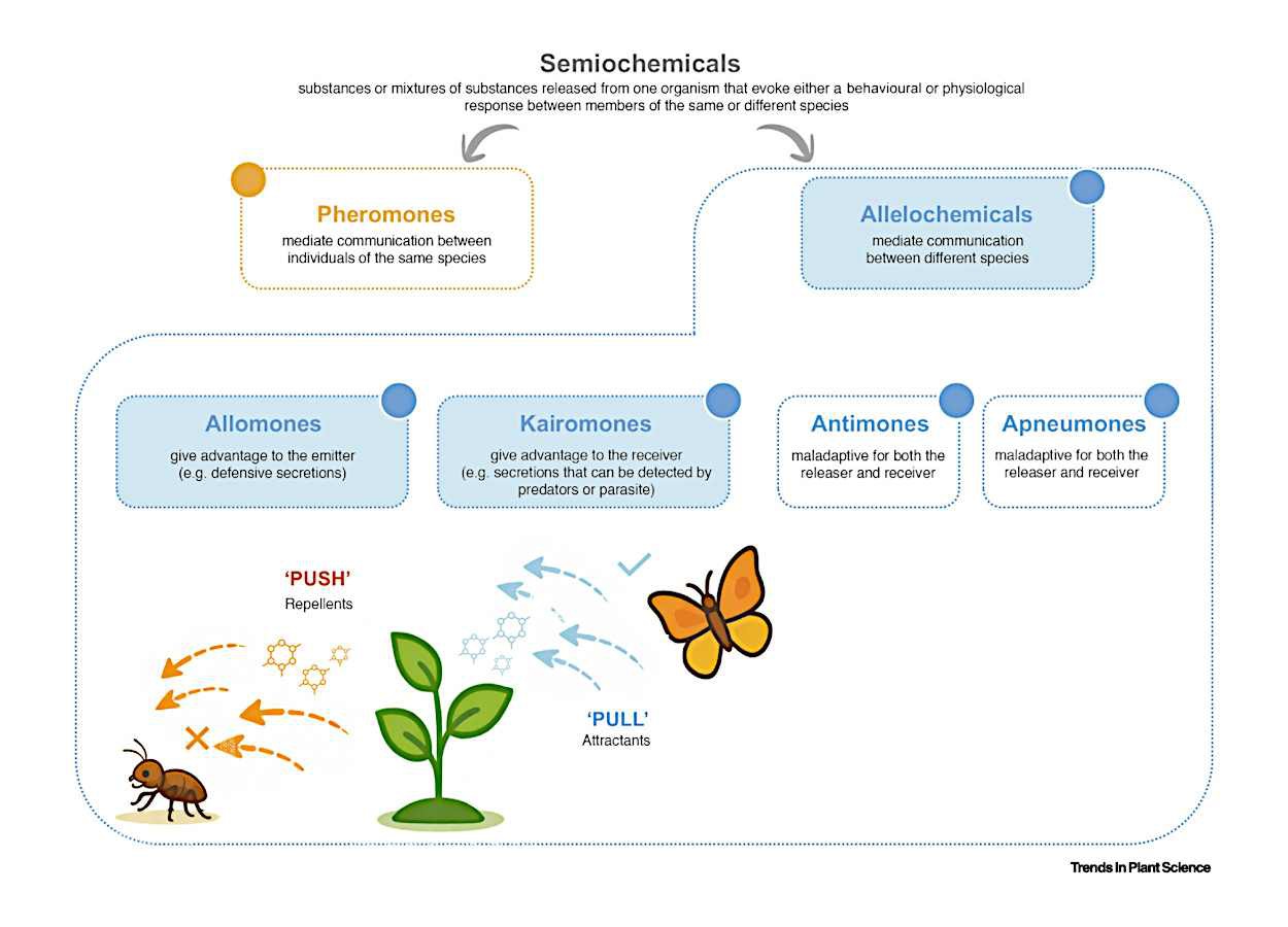 Metabólitos vegetais avançam no controle comportamental de pragas