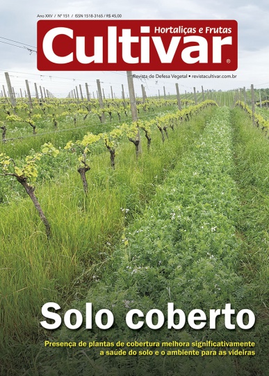 Cultivar HF 151