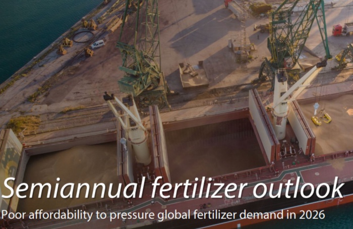 Mercado global de fertilizantes entra em nova contração