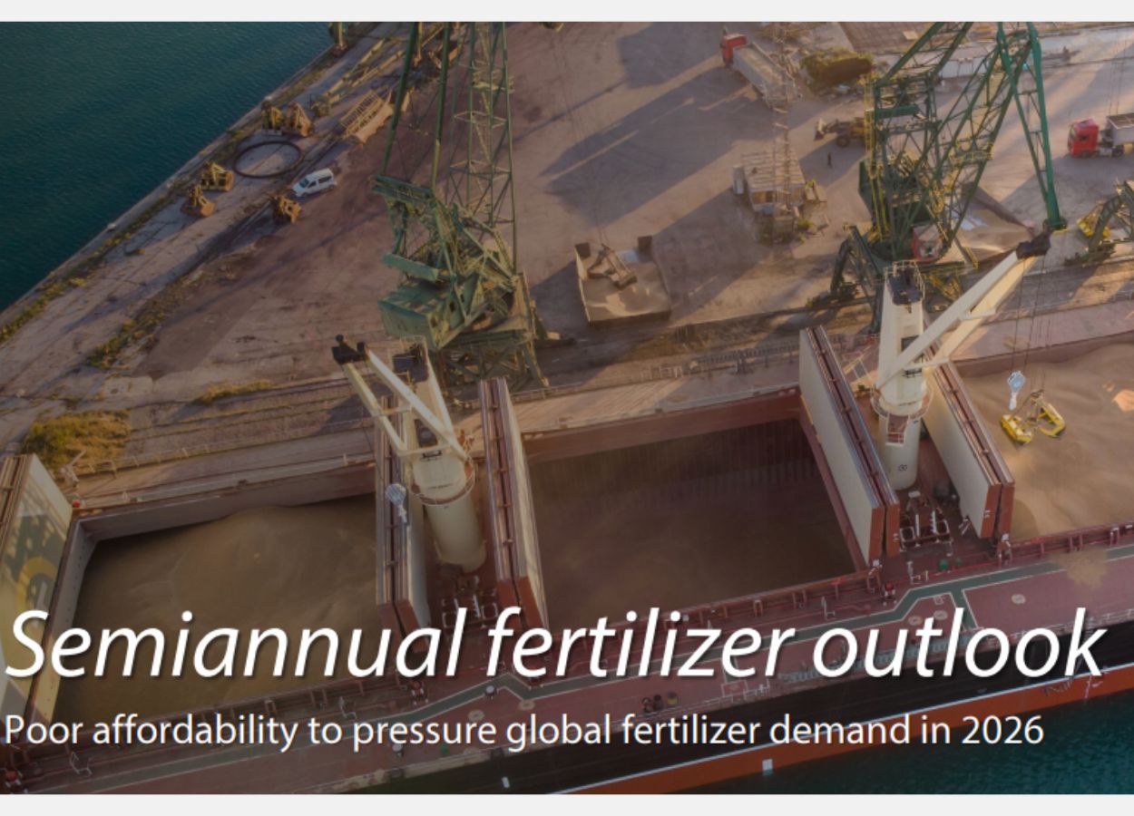 Rabobank prevê queda na demanda em 2025 e desaceleração mais acentuada em 2026, pressionada por preços altos