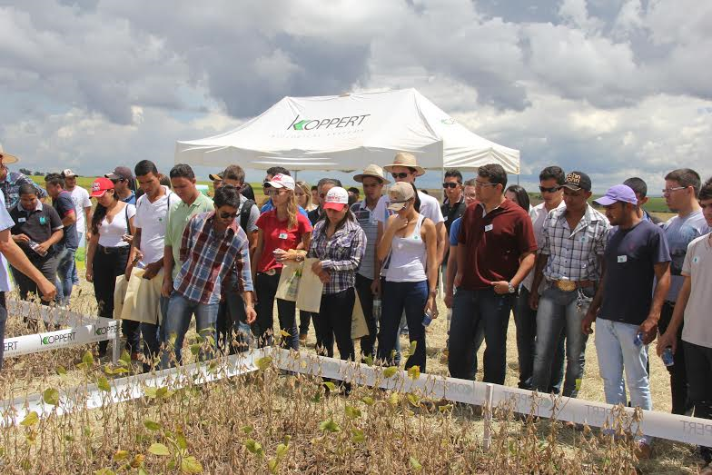 AgroBrasília realiza Dia de Campo da Competição de Cultivares