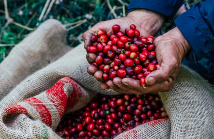 Exportações do agro brasileiro batem recorde em outubro