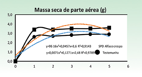 Figura 4 - Curvas e equações de regressão polinomiais aplicadas no modelo estatístico, no sistema de plantio direto com uso da palhada de sorgo e convencional na alface cultivar Crespa, Palotina, PR