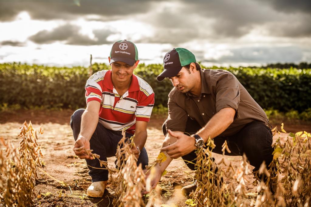 Manejo integrado é o foco da Bayer no Congresso Brasileiro de Plantas Daninhas 2016