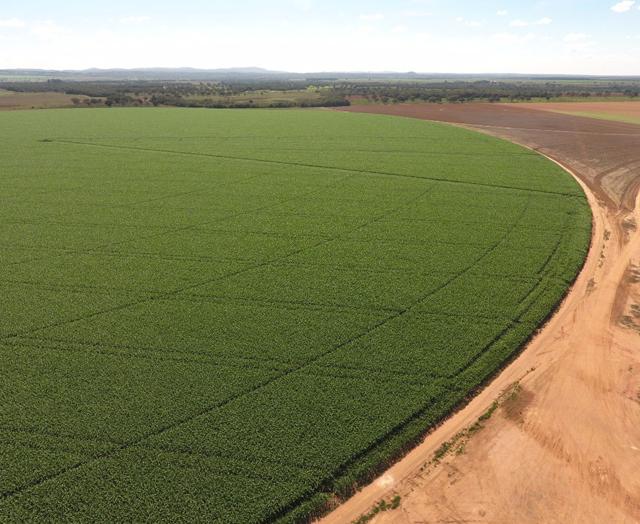 Pesquisadores avaliam tendências do agronegócio de grãos em Patos de Minas