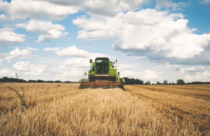 VBP Agropecuário deve crescer 12,3% em 2025