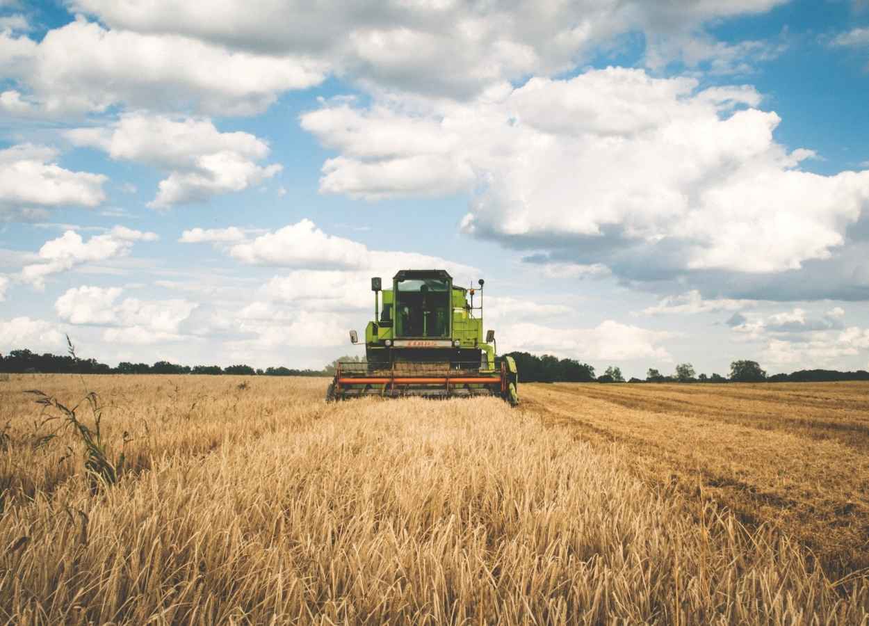 VBP Agropecuário deve crescer 12,3% em 2025