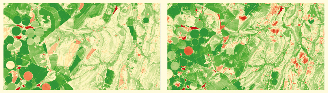 Imagens NDVI obtidas dos satélites Landsat 8 (em cima) e Sentinel -2 (embaixo) com larguras das cenas básicas respectivas de 170,0 x 183 km e 100 x 100 km, exaltando a quantidade de área imageada a baixo custo e de forma rápida