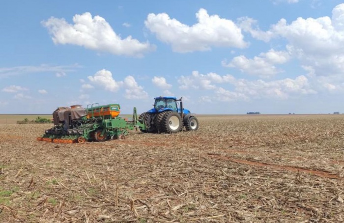 Plantio da soja atinge 32% da área total em Mato Grosso do Sul