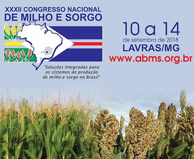 Congresso de milho e sorgo debate avanços nas cadeias produtivas dos dois cereais