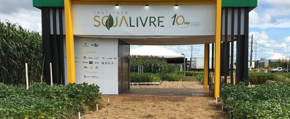 Agricultores se preparam para planejar safra de soja convencional de 2023/24