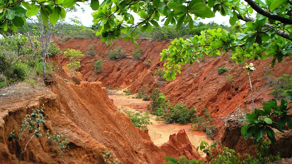 Voçoroca em área do estado do Mato Grosso; foto: Claudio Capeche&nbsp;