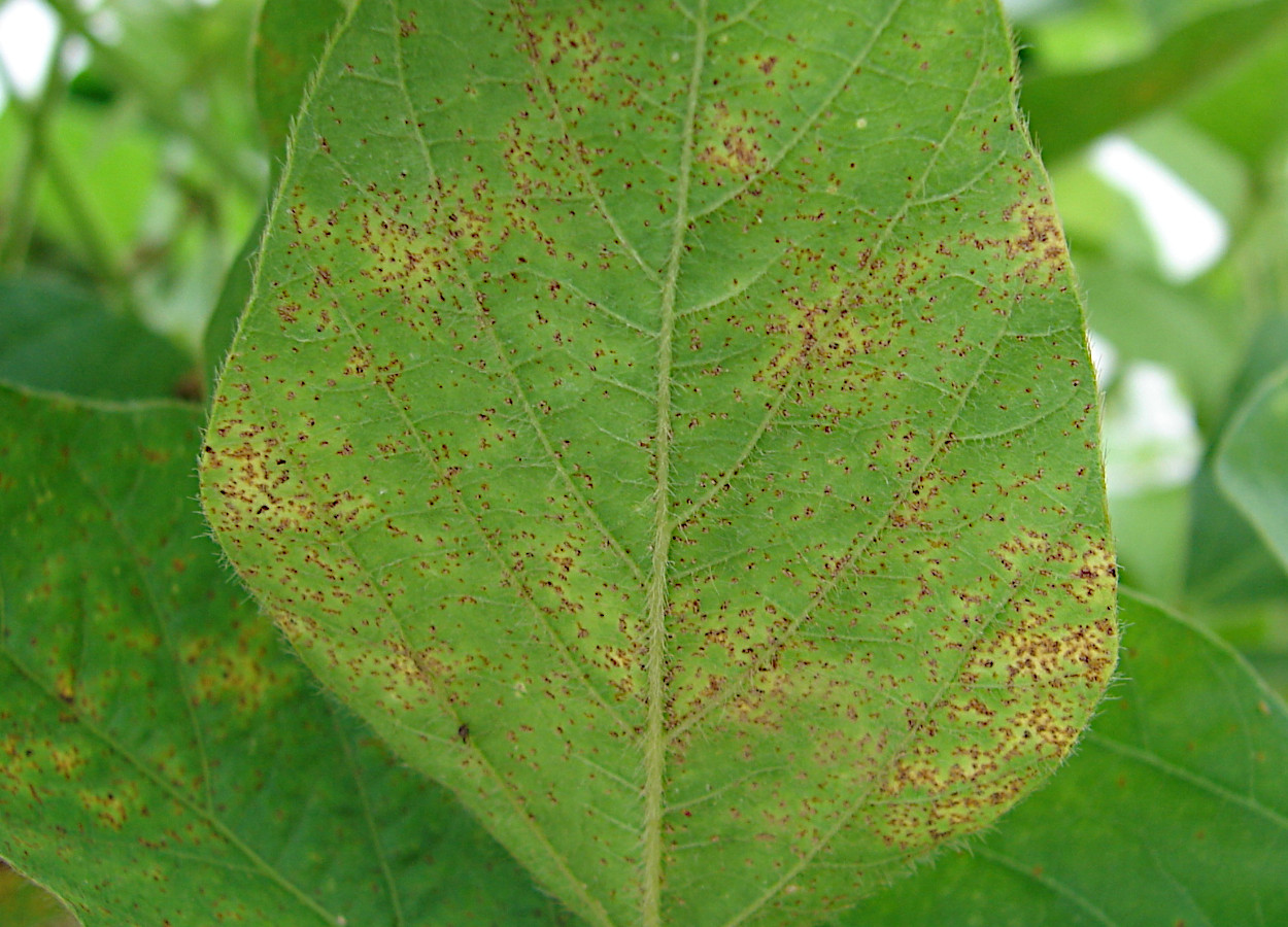 Foto:&nbsp;Tristan Mueller