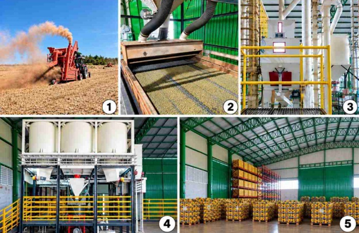 Sementes de braquiária de alta qualidade: quais etapas do processamento pós-colheita permitem obtê-las?