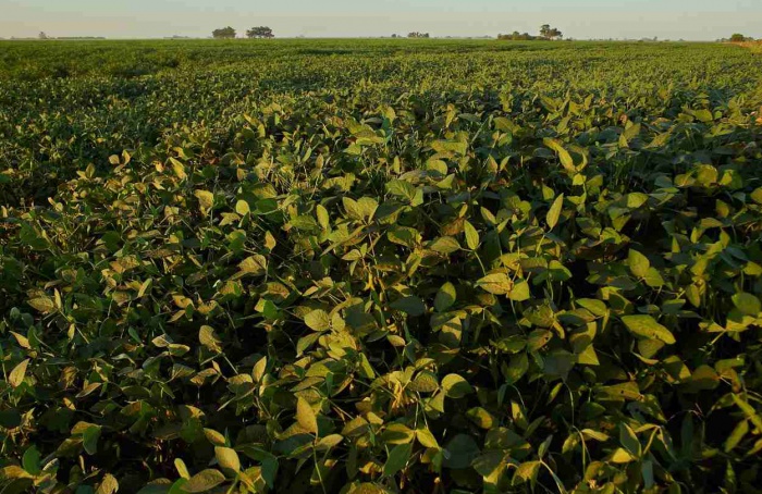 Análise da Anvisa aponta avanço no uso correto de defensivos