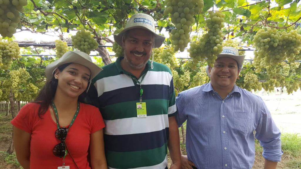 ​SENAR participará de projeto piloto de Assistência Técnica e Gerencial em áreas de irrigação